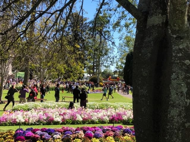 Carnival of Flowers, Toowoomba - Image: Superior Shade Sails