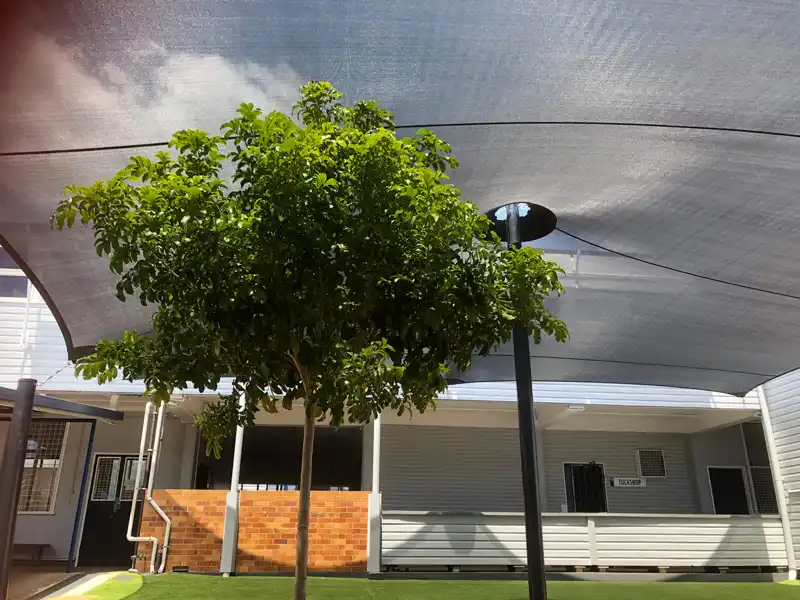 School Shade sail for Ipswich government school installed by Superior Shade Sails Ipswich and Brisbane